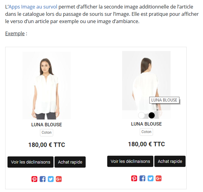 Image au survol
