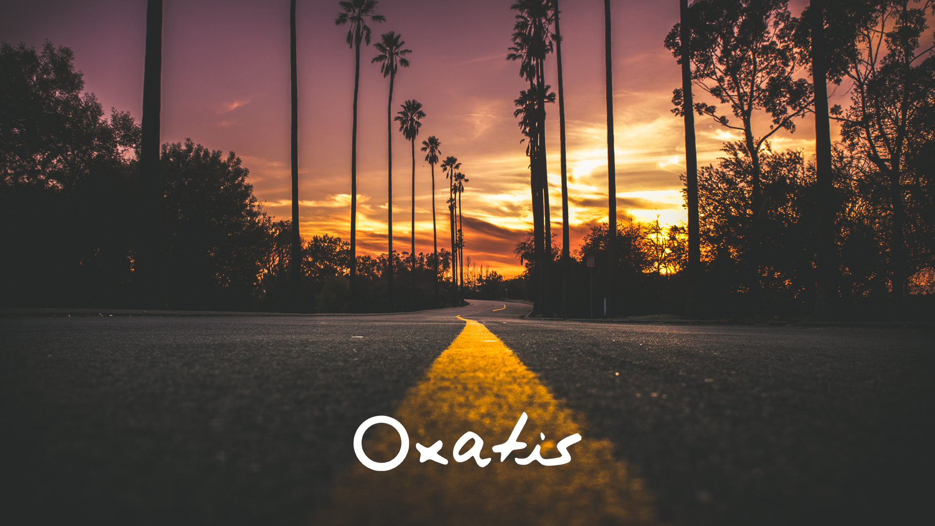 test images dynamiques